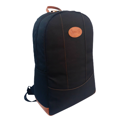 [1879] MORRAL 1879.