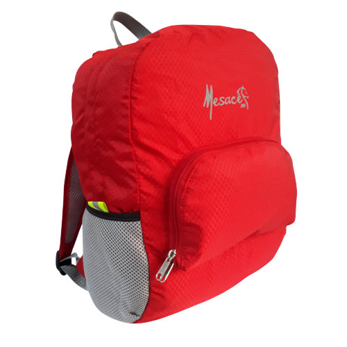 [2569] MORRAL 2569.
