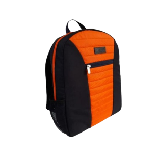 [1889] MORRAL 1889.